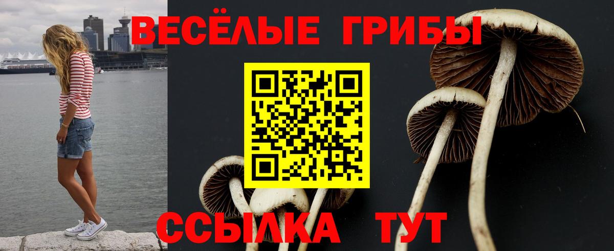наркота  Галлюциногенные грибы Psilocybine cubensis  Вход с VPN  Псилоцибиновые грибы мицелий  Ипатово 